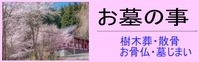 樹木葬や墓じまい