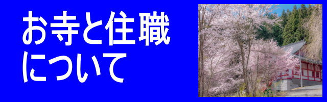 桜満開の樹木葬のお寺尊星王院は、本寿院の寺中寺院であり住職は同じです