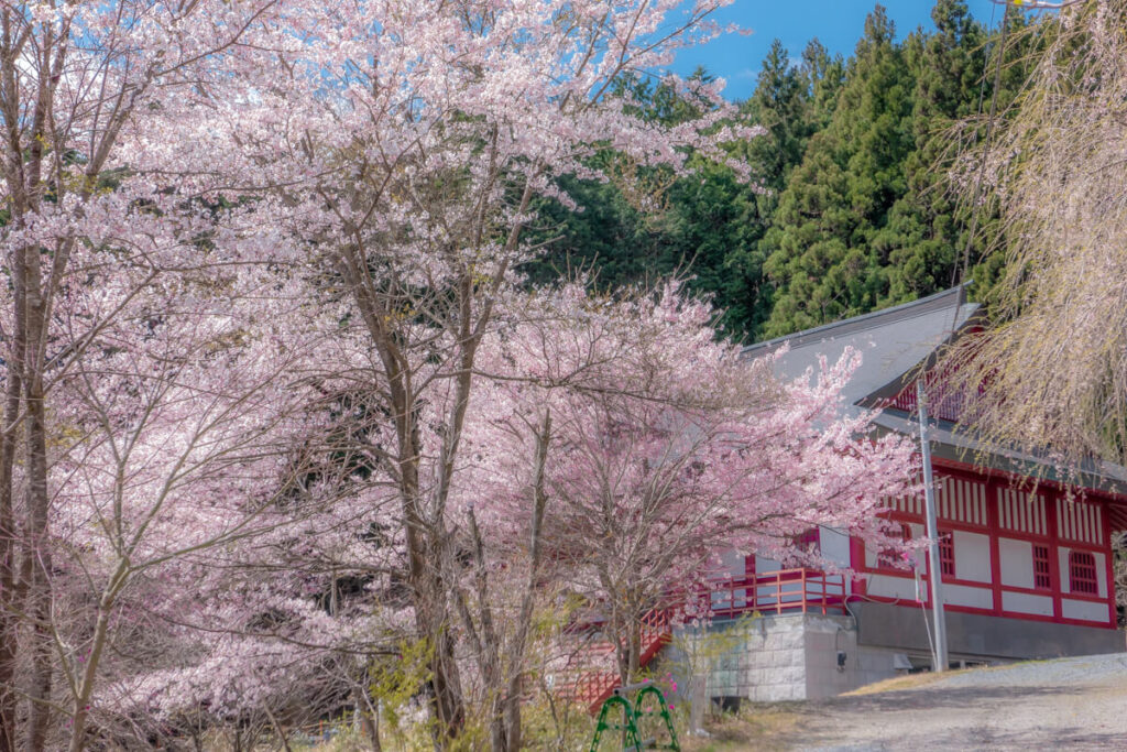 樹木葬「さくらん墓」