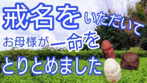 生前戒名を頂いて一命をとりとめた