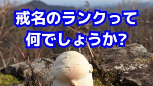 戒名のランクって何でしょうか?