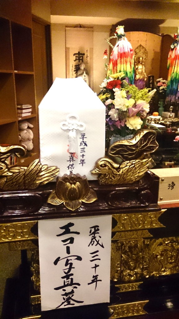 骨箱