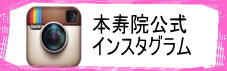 インスタグラム