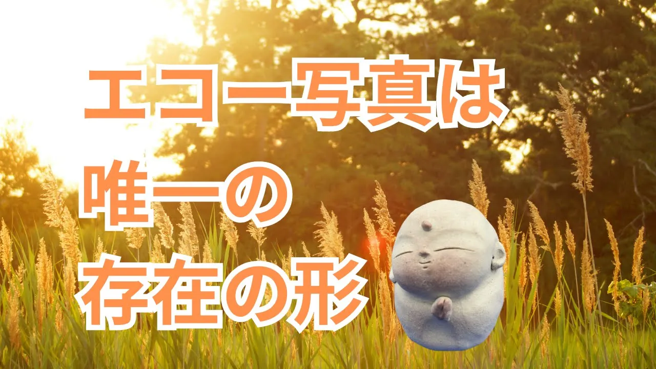 エコー写真は唯一の存在の形