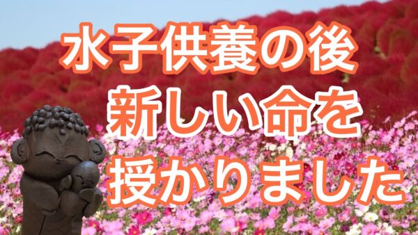 水子供養の後、新しい命が：感謝と希望の物語