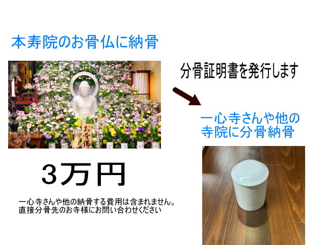 分骨証明書