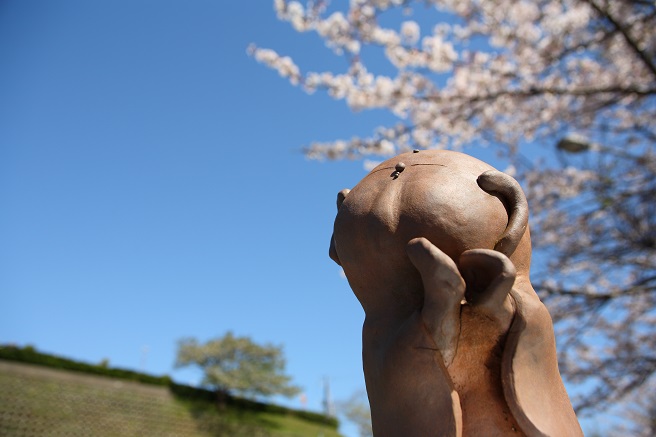 つちぼとけと桜