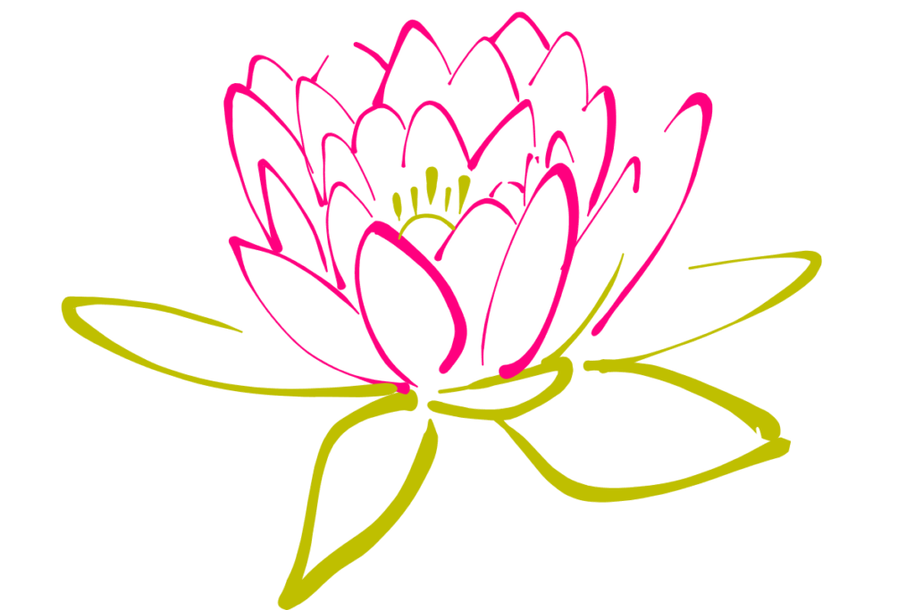 蓮の花