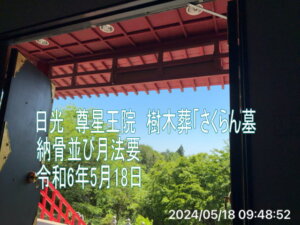 樹木葬
